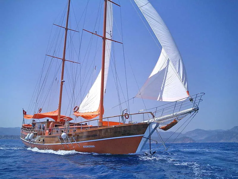 ASENSENA
